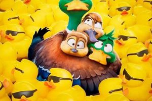 Your Guide: Sequoyah 9 Garden City KS - Info & More! | The Ultimate Gardening Guide: Grow a Thriving Garden Year-Round