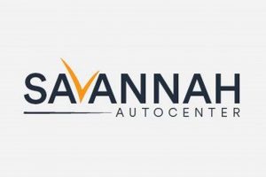 Explore Savannah Auto Garden City: [City] Deals & Services | The Ultimate Gardening Guide: Grow a Thriving Garden Year-Round