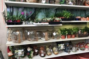 Your Orleans Home & Garden Oasis | Snow's Since 1950 | The Ultimate Gardening Guide: Grow a Thriving Garden Year-Round