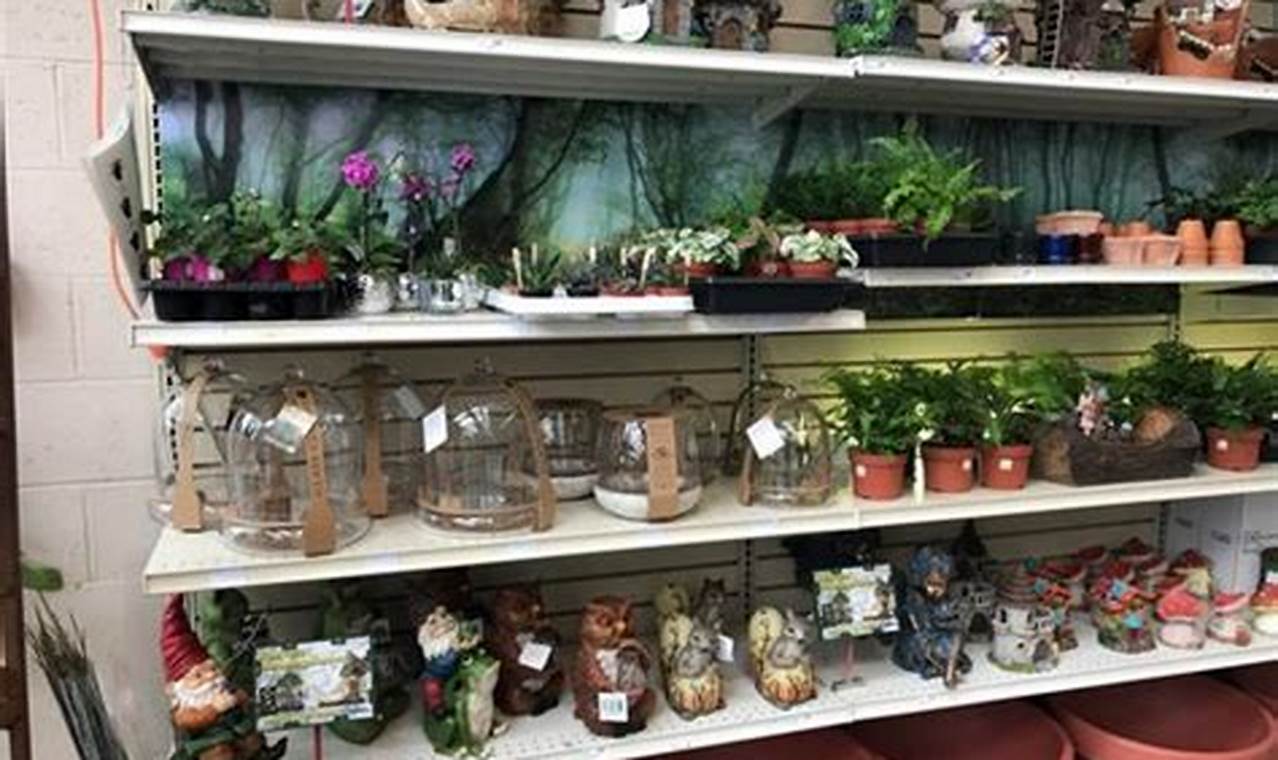 Your Orleans Home & Garden Oasis | Snow's Since 1950 The Ultimate Gardening Guide: Grow a Thriving Garden Year-Round Your Orleans Home & Garden Oasis | Snow's Since 1950 | The Ultimate Gardening Guide: Grow a Thriving Garden Year-Round