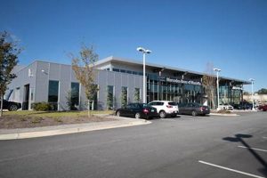 Discover Marietta Rossi | Garden City, NY Local Guide | The Ultimate Gardening Guide: Grow a Thriving Garden Year-Round