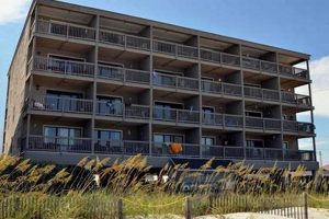 Discover Sea Mystique: Your Garden City, SC Guide | The Ultimate Gardening Guide: Grow a Thriving Garden Year-Round