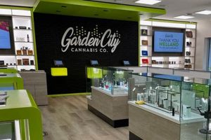 Your Guide to Dispensary Garden City Options + More! The Ultimate Gardening Guide: Grow a Thriving Garden Year-Round Your Guide to Dispensary Garden City Options + More! | The Ultimate Gardening Guide: Grow a Thriving Garden Year-Round