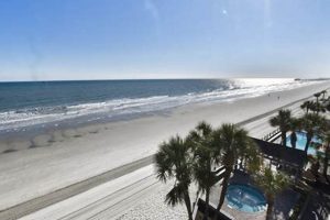 Find Garden City Beach Vacation Rentals by Owner! Deals Await | The Ultimate Gardening Guide: Grow a Thriving Garden Year-Round