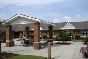 NHC Healthcare Garden City SC: Senior Care Experts | The Ultimate Gardening Guide: Grow a Thriving Garden Year-Round