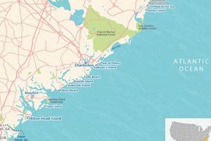 From Garden City SC to Myrtle Beach SC: Your Guide! The Ultimate Gardening Guide: Grow a Thriving Garden Year-Round From Garden City SC to Myrtle Beach SC: Your Guide! | The Ultimate Gardening Guide: Grow a Thriving Garden Year-Round