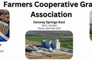 Garden City Coop Cash Bids: Local Grain Prices Now! The Ultimate Gardening Guide: Grow a Thriving Garden Year-Round Garden City Coop Cash Bids: Local Grain Prices Now! | The Ultimate Gardening Guide: Grow a Thriving Garden Year-Round