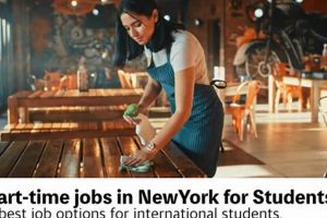 Find Local Part Time Jobs in Garden City, NY Today! | The Ultimate Gardening Guide: Grow a Thriving Garden Year-Round