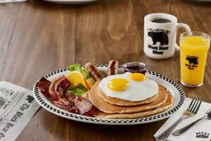 Explore ta garden city Wonders: A Green Living Guide | The Ultimate Gardening Guide: Grow a Thriving Garden Year-Round