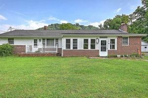 Discover Carters Garden City: Your Ideal Green Living | The Ultimate Gardening Guide: Grow a Thriving Garden Year-Round