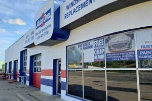 Your Auto One Garden City MI Guide: Deals &amp; Service! | The Ultimate Gardening Guide: Grow a Thriving Garden Year-Round