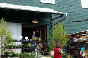 Your Local Down to Earth Home & Garden in Eugene, OR The Ultimate Gardening Guide: Grow a Thriving Garden Year-Round Your Local Down to Earth Home & Garden in Eugene, OR | The Ultimate Gardening Guide: Grow a Thriving Garden Year-Round