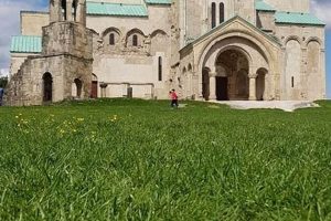 Kingston Garden City: Real Reviews & More | The Ultimate Gardening Guide: Grow a Thriving Garden Year-Round