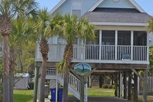 Find: Pet Friendly Rentals Garden City Beach, SC The Ultimate Gardening Guide: Grow a Thriving Garden Year-Round Find: Pet Friendly Rentals Garden City Beach, SC | The Ultimate Gardening Guide: Grow a Thriving Garden Year-Round