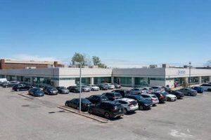 Living at 400 Oak Street, Garden City NY: Guide + Tips | The Ultimate Gardening Guide: Grow a Thriving Garden Year-Round