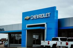 Your Guide to Lewis Chevrolet of Garden City, [Year] Deals! | The Ultimate Gardening Guide: Grow a Thriving Garden Year-Round