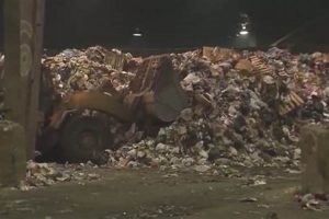 Garden City Dump: Tips, Hours & More Near You! The Ultimate Gardening Guide: Grow a Thriving Garden Year-Round Garden City Dump: Tips, Hours & More Near You! | The Ultimate Gardening Guide: Grow a Thriving Garden Year-Round