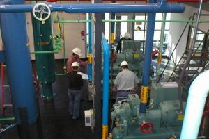 Garden City Ammonia: Uses, Benefits & Safety Tips The Ultimate Gardening Guide: Grow a Thriving Garden Year-Round Garden City Ammonia: Uses, Benefits & Safety Tips | The Ultimate Gardening Guide: Grow a Thriving Garden Year-Round