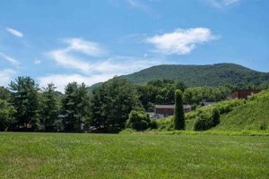 Discover Garden City Roanoke VA: Homes & More The Ultimate Gardening Guide: Grow a Thriving Garden Year-Round Discover Garden City Roanoke VA: Homes & More | The Ultimate Gardening Guide: Grow a Thriving Garden Year-Round