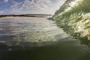 Live Garden City Cam: Urban Views & More The Ultimate Gardening Guide: Grow a Thriving Garden Year-Round Live Garden City Cam: Urban Views & More | The Ultimate Gardening Guide: Grow a Thriving Garden Year-Round