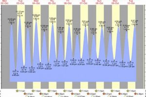 Garden City SC Tide Tables: Your Coastal Guide | The Ultimate Gardening Guide: Grow a Thriving Garden Year-Round