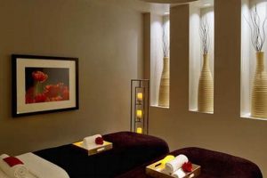 Oasis Spa in Garden City: Relax &amp; Rejuvenate Now! | The Ultimate Gardening Guide: Grow a Thriving Garden Year-Round