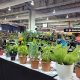 Your Guide: PGH Home & Garden Show | Pittsburgh's Best! | The Ultimate Gardening Guide: Grow a Thriving Garden Year-Round