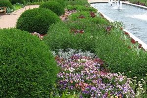 KC Farm & Garden: Craigslist Kansas City Listings Now! | The Ultimate Gardening Guide: Grow a Thriving Garden Year-Round