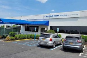 Your Guide to 711 Stewart Ave, Garden City Info The Ultimate Gardening Guide: Grow a Thriving Garden Year-Round Your Guide to 711 Stewart Ave, Garden City Info | The Ultimate Gardening Guide: Grow a Thriving Garden Year-Round