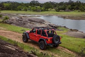 Your Garden City Jeep: Find Deals & Service Here! | The Ultimate Gardening Guide: Grow a Thriving Garden Year-Round