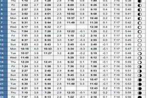 Garden City Tides: Your Local Tide Chart & Times | The Ultimate Gardening Guide: Grow a Thriving Garden Year-Round