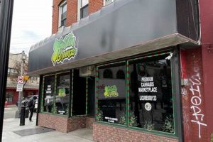 Your Local Garden Greenz in Jersey City: Fresh & Healthy | The Ultimate Gardening Guide: Grow a Thriving Garden Year-Round