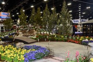 Your Guide: Home & Garden Show Denver Colorado | [Year] | The Ultimate Gardening Guide: Grow a Thriving Garden Year-Round