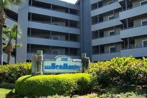 Eco Sea Master Garden City: Sustainable Living Awaits! | The Ultimate Gardening Guide: Grow a Thriving Garden Year-Round