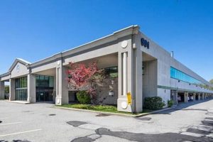 Living Near 901 Stewart Ave, Garden City: A Guide | The Ultimate Gardening Guide: Grow a Thriving Garden Year-Round