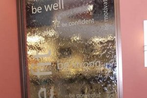 Yoga Garden City | The Ultimate Gardening Guide: Grow a Thriving Garden Year-Round