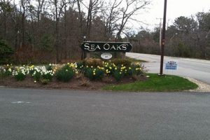 Living in Sea Oaks, Garden City, SC | Real Estate &amp; More | The Ultimate Gardening Guide: Grow a Thriving Garden Year-Round