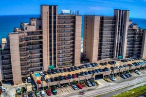 Garden City SC: Surfmaster Rentals, Beachfront Bliss | The Ultimate Gardening Guide: Grow a Thriving Garden Year-Round