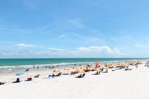 Fun Things to Do in Garden City Beach, SC: Your Guide The Ultimate Gardening Guide: Grow a Thriving Garden Year-Round Fun Things to Do in Garden City Beach, SC: Your Guide | The Ultimate Gardening Guide: Grow a Thriving Garden Year-Round