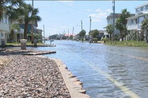 Building Resilient: High Tide Garden City Living Tips The Ultimate Gardening Guide: Grow a Thriving Garden Year-Round Building Resilient: High Tide Garden City Living Tips | The Ultimate Gardening Guide: Grow a Thriving Garden Year-Round