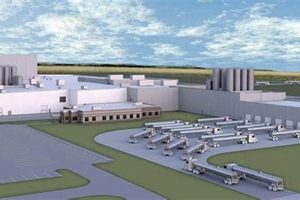 Empirical Garden City KS Interview Questions: Tips &amp; Tricks | The Ultimate Gardening Guide: Grow a Thriving Garden Year-Round