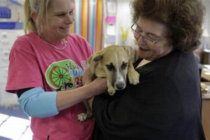 Rescue a Pet Today | Garden City Humane Society | Adoptions! | The Ultimate Gardening Guide: Grow a Thriving Garden Year-Round