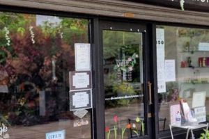 Garden City Hair: Styles &amp; Care [Local Guide] | The Ultimate Gardening Guide: Grow a Thriving Garden Year-Round