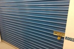 Best & Secure Self Storage Garden City NY Near You | The Ultimate Gardening Guide: Grow a Thriving Garden Year-Round