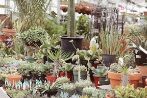 West 135th KC Lawn Care: Local Suburban Garden Pros | The Ultimate Gardening Guide: Grow a Thriving Garden Year-Round