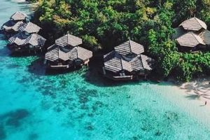 Discover: Island Garden City of Samal - A Paradise Found The Ultimate Gardening Guide: Grow a Thriving Garden Year-Round Discover: Island Garden City of Samal - A Paradise Found | The Ultimate Gardening Guide: Grow a Thriving Garden Year-Round