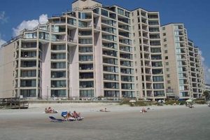 Discover Surfmaster by the Sea: Garden City, SC Guide | The Ultimate Gardening Guide: Grow a Thriving Garden Year-Round