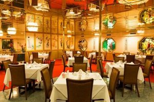 Oasis City: Orchid Garden City Wonders & Tips The Ultimate Gardening Guide: Grow a Thriving Garden Year-Round Oasis City: Orchid Garden City Wonders & Tips | The Ultimate Gardening Guide: Grow a Thriving Garden Year-Round