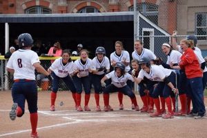 Play Ball! Garden City Softball Leagues Near You | The Ultimate Gardening Guide: Grow a Thriving Garden Year-Round