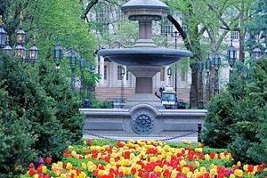 City Oasis: Your City Hall Garden Guide & Ideas The Ultimate Gardening Guide: Grow a Thriving Garden Year-Round City Oasis: Your City Hall Garden Guide & Ideas | The Ultimate Gardening Guide: Grow a Thriving Garden Year-Round